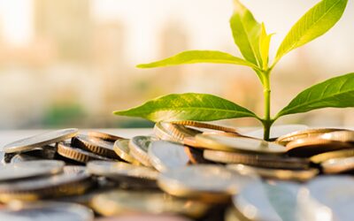 4 Ways to Manage the Risk of Investments